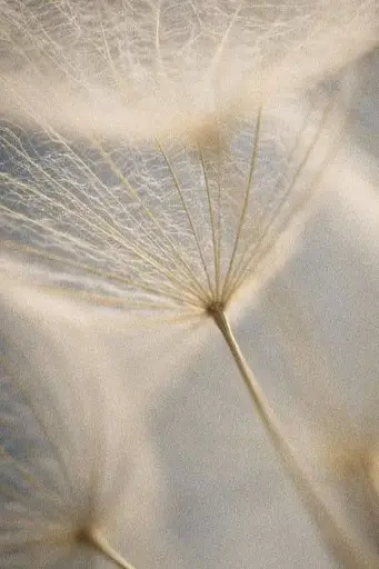 L'hypnose, le poids et la nourriture